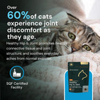 Clinical strength supplement bottle for cats on a neutral background