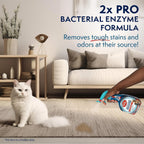 Simple Solution enzymatic cleaner on carpet