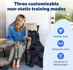 PetSafe bark deterrent device highlighting the flashlight feature