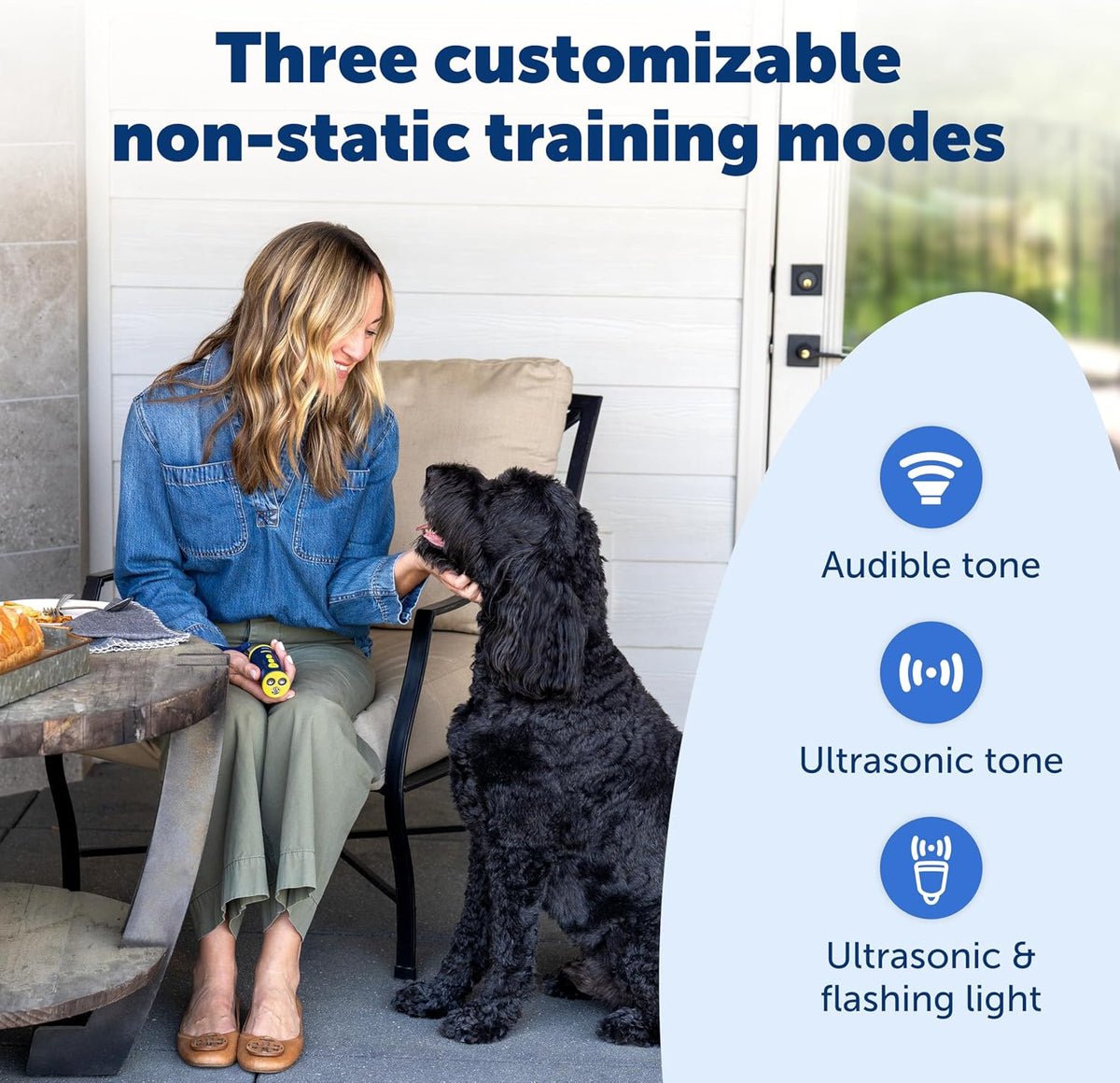 PetSafe bark deterrent device highlighting the flashlight feature