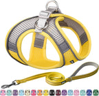 AIITLE No Pull Dog Harness and Leash Set, Step in Adjustable Dog Harness with Padded Vest for All Weather, Dog Leash with Soft Padded Handle, Easy to Put on Small and Medium Dogs Beige S - Image 11