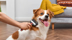 CHI dematting rake demonstrated on long dog coat