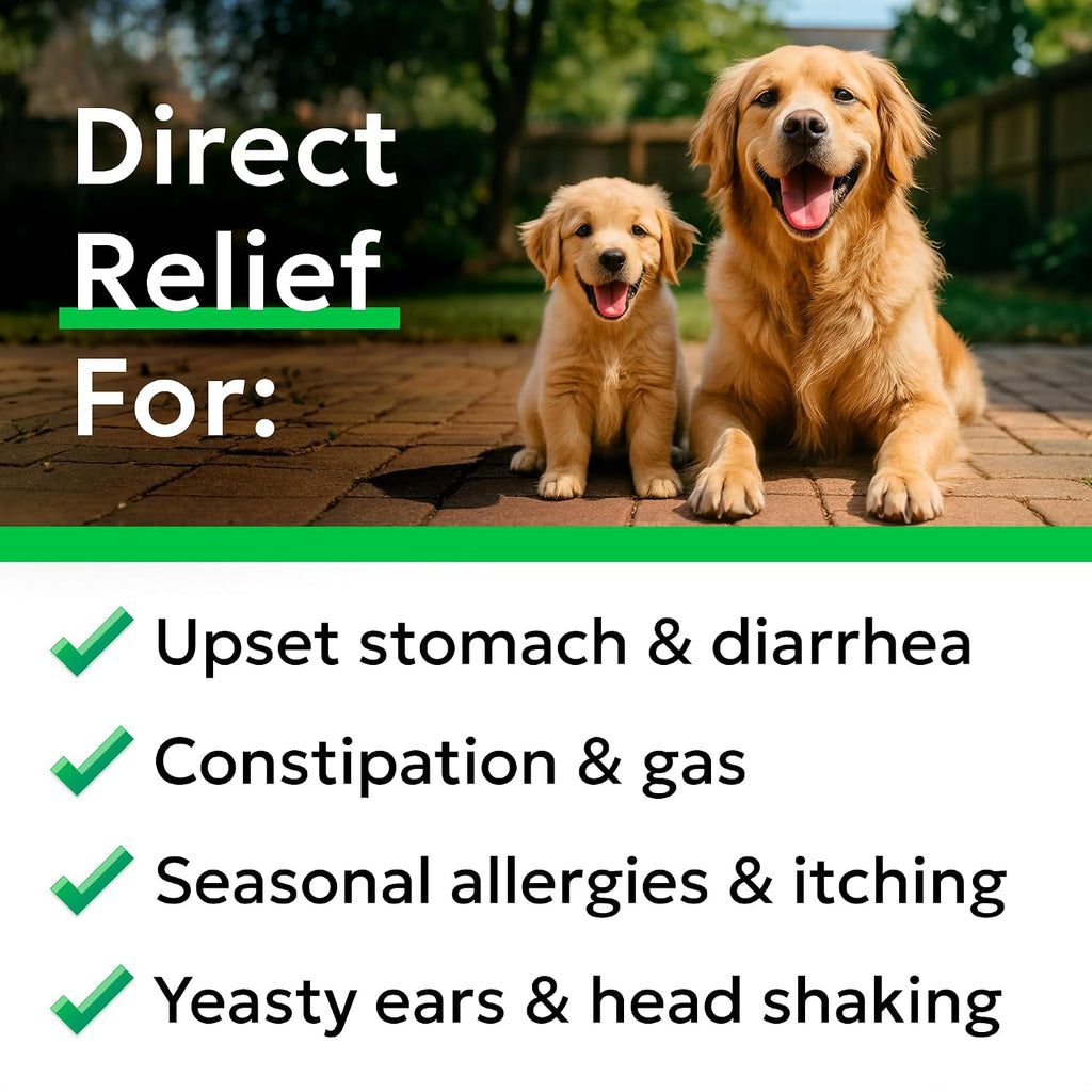 Detailed ingredient list on the Bark&Spark dog probiotic container