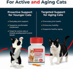 Close up of Antinol Plus cat supplement label