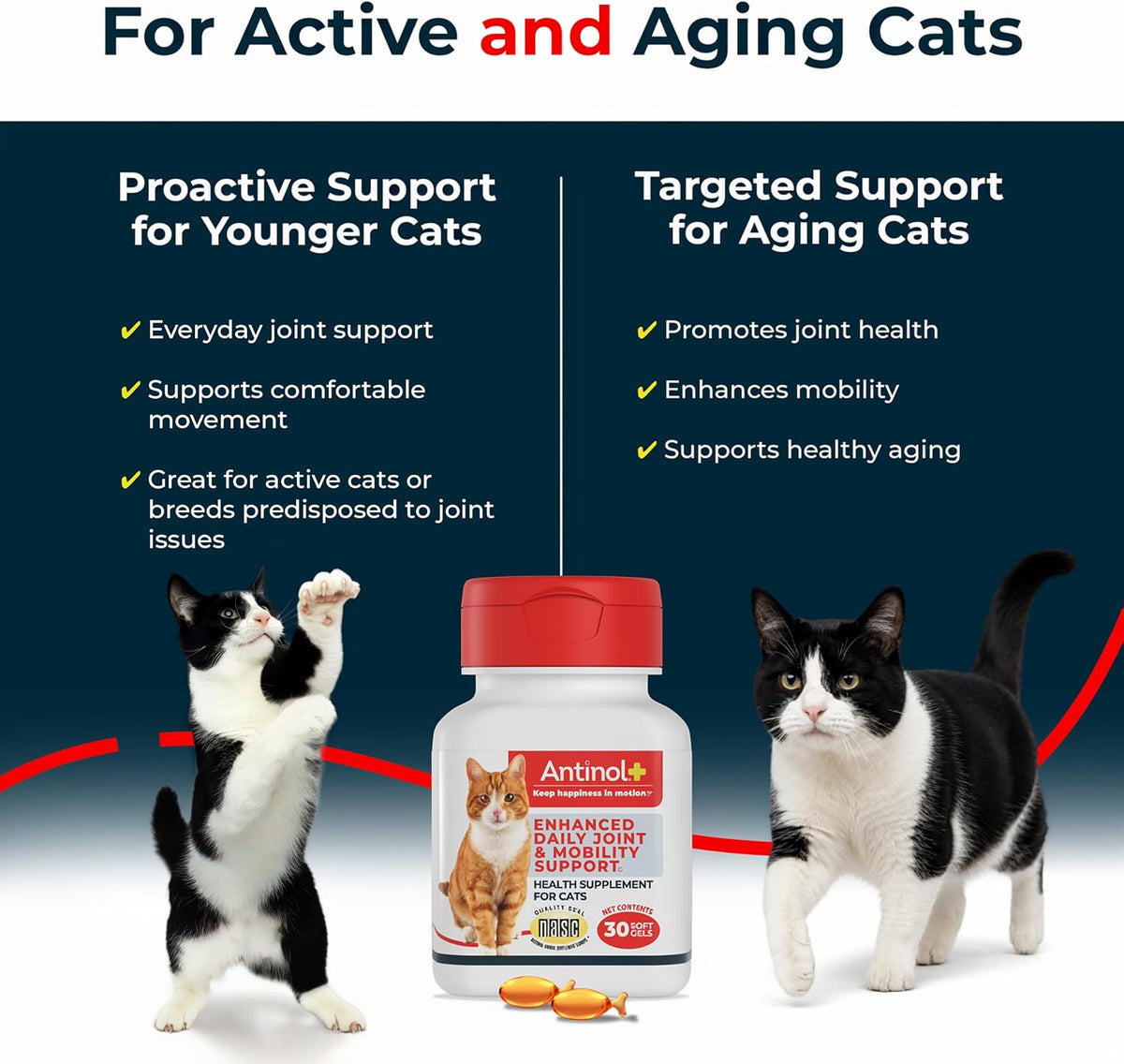 Close up of Antinol Plus cat supplement label