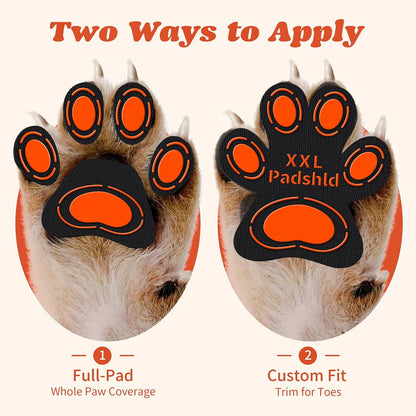 Bottom view of dog paw showing rubberized grip texture