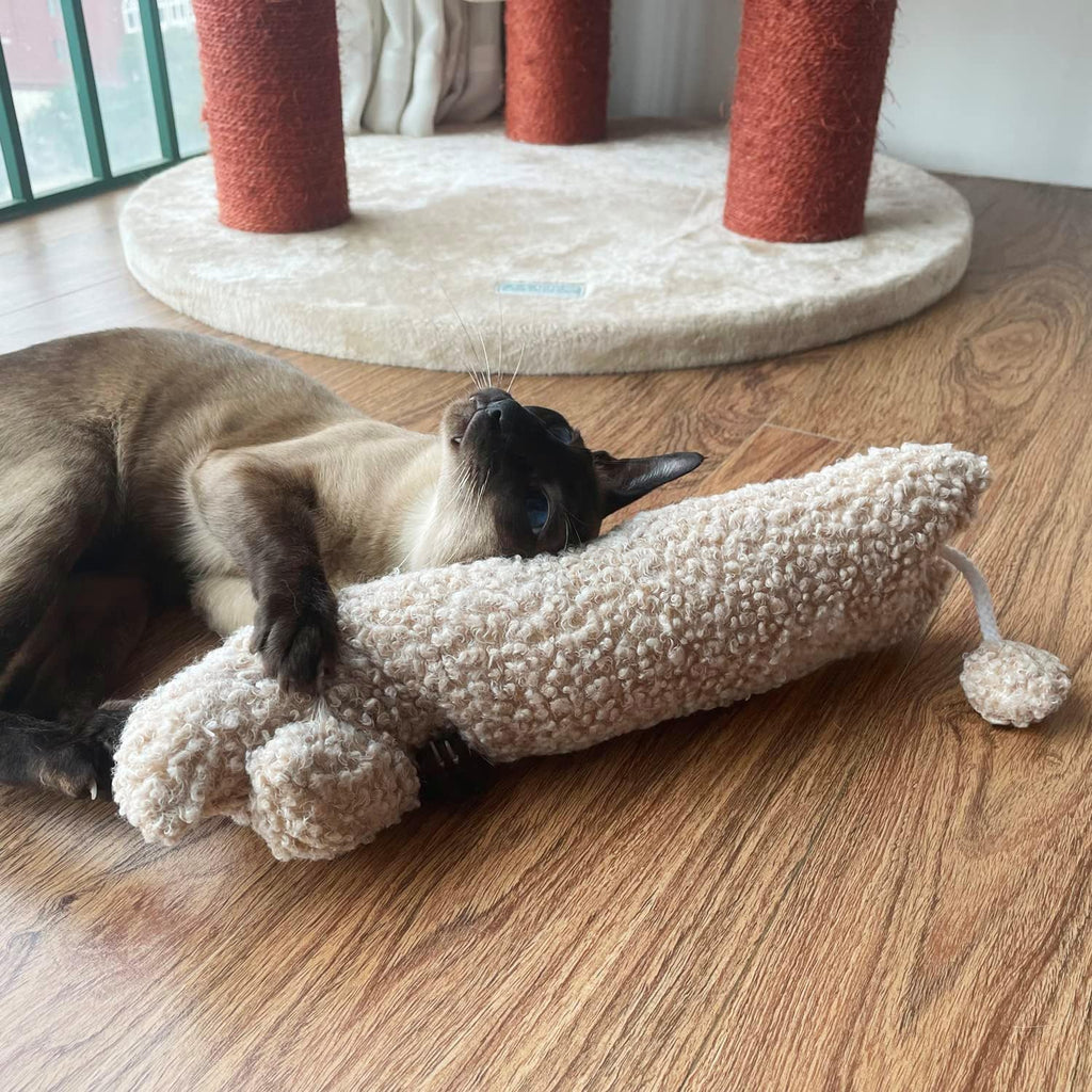 Size comparison of Ttcat pillow for large cats