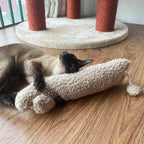 Size comparison of Ttcat pillow for large cats