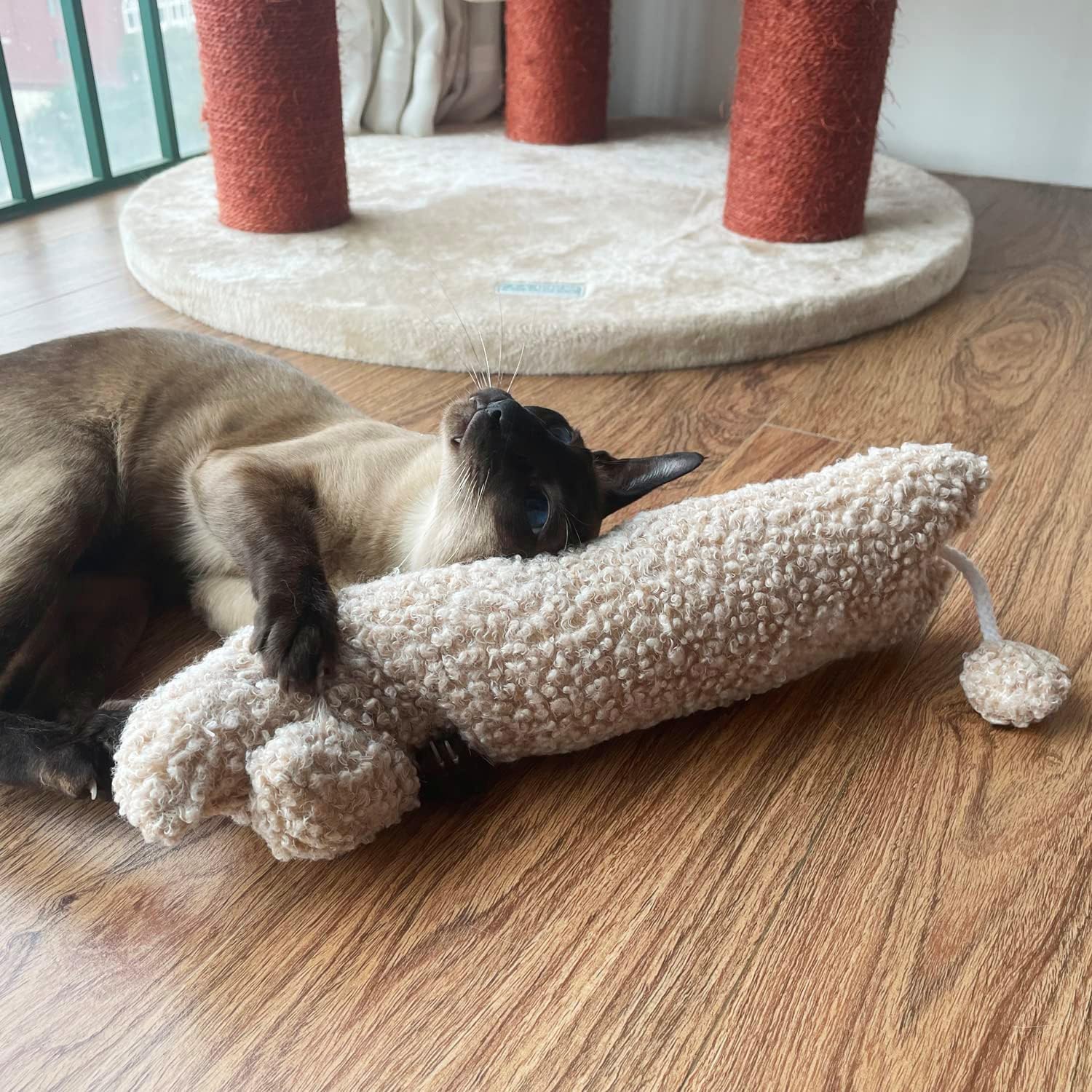 Size comparison of Ttcat pillow for large cats