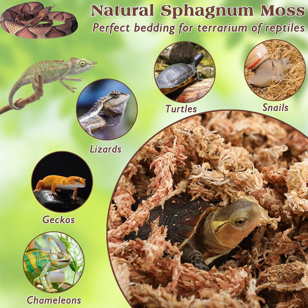 Six ounce eight quart bag of clean premium reptile moss