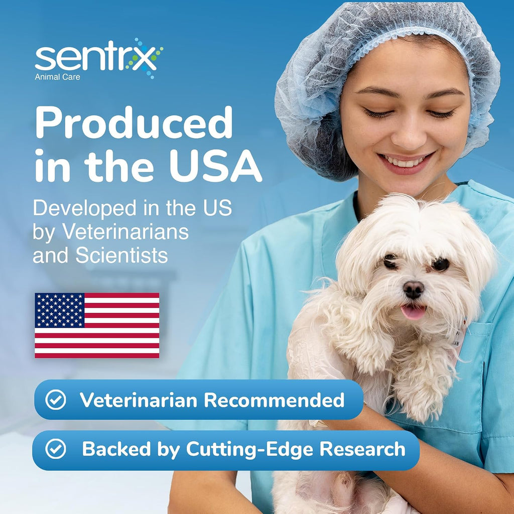 Premium animal eye care protectant used during veterinary anesthesia