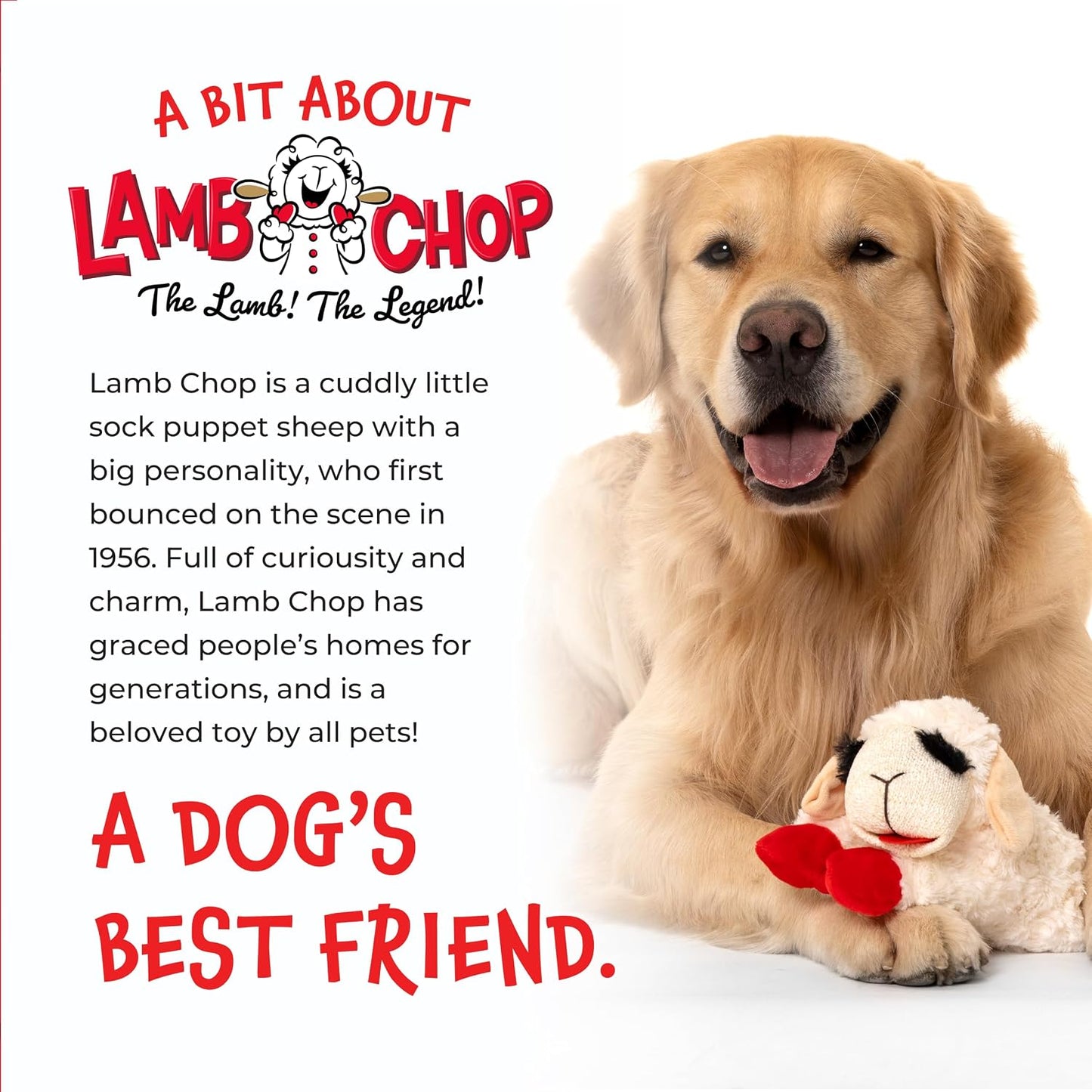 Multipet authentic USA imported Lamb Chop dog toy texturized details