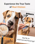 Cat eating Pawaura freeze dried chicken treat