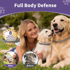 Adjustable natural essential oil pet collar for small and large breeds