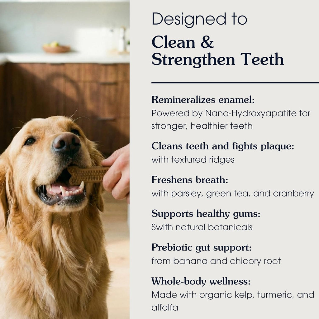 Arterra daily dental chew formulation with active botanicals for fresh breath