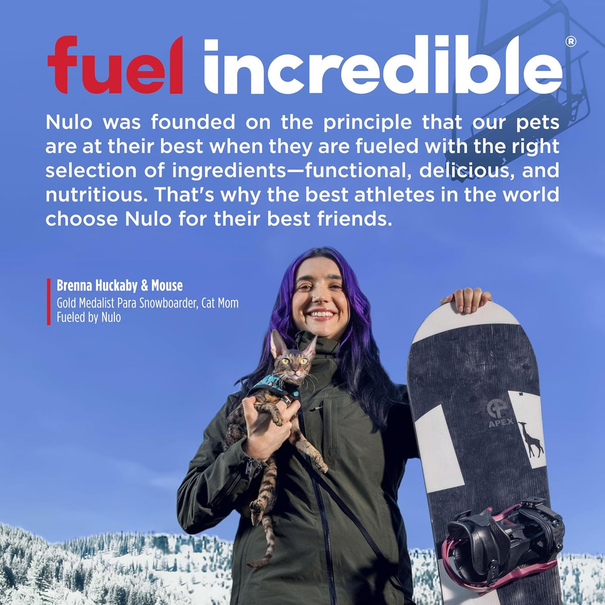Nulo salmon recipe cat food ingredient panel