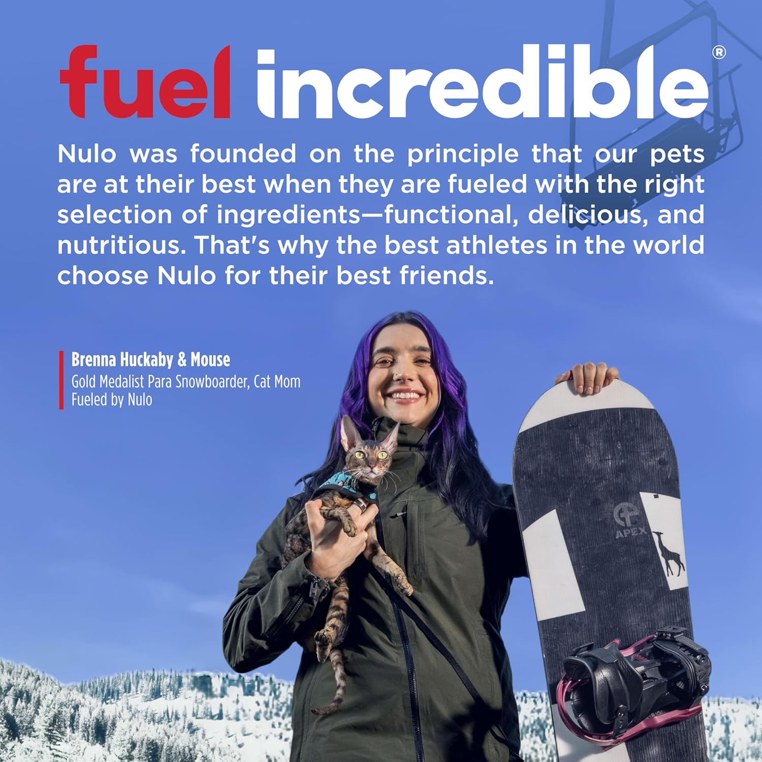 Nutritional information label on Nulo cat food cup