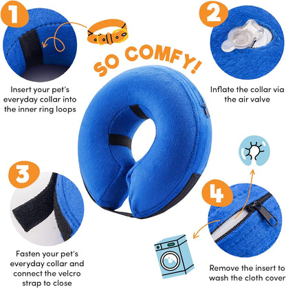 Bencmate soft pet recovery e collar large size blue variant on a dog