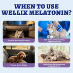Nutrivio Wellix cat and dog anxiety relief drops side angle highlighting product volume