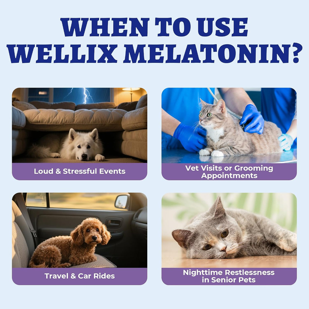 Nutrivio Wellix cat and dog anxiety relief drops side angle highlighting product volume