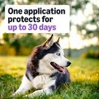 Amazon Basics dog tick prevention treatment active ingredient breakdown