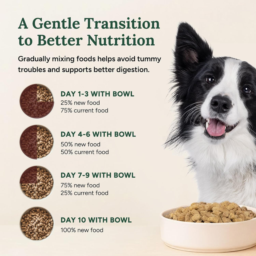 Grain-free natural dog food pellets served as a healthy meal mixer over kibble