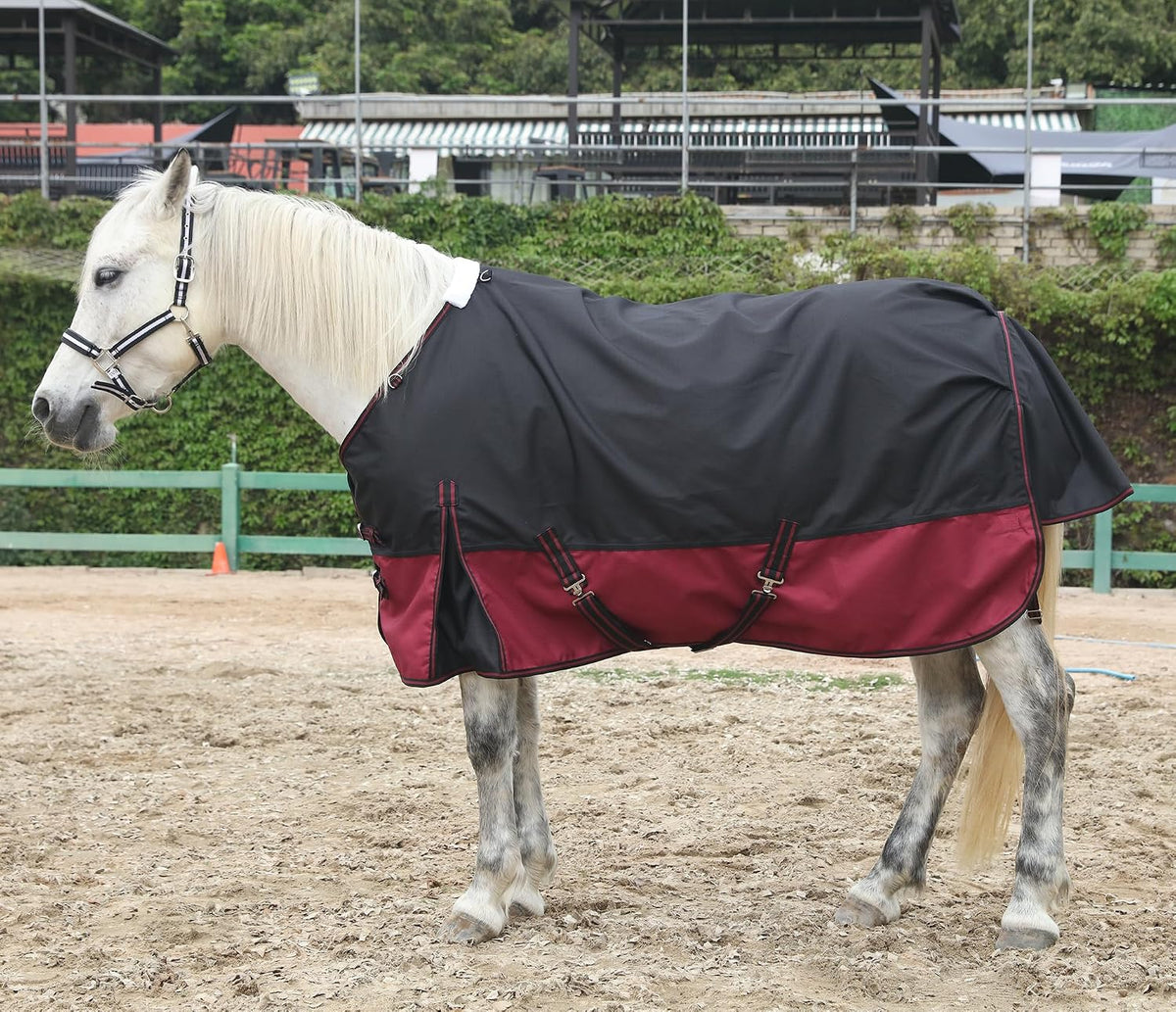 Premium imported LEAFOREST horse winter blanket illustrating tail flap coverage and nylon binding durability