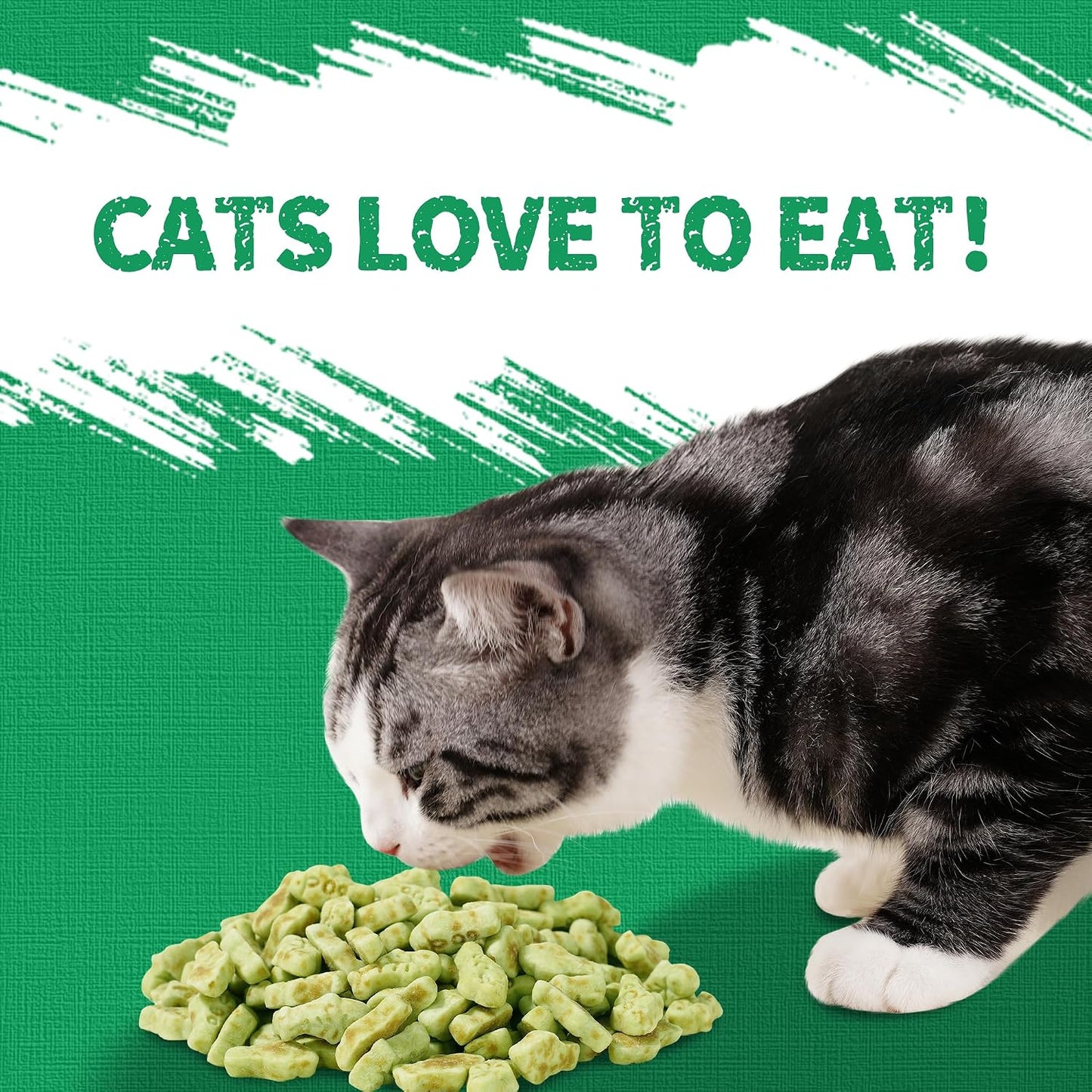 Indoor cat enjoying a low calorie salmon flavored training biscuit.