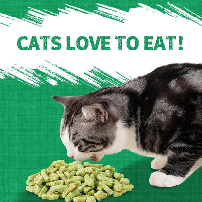 Indoor cat enjoying a low calorie salmon flavored training biscuit.