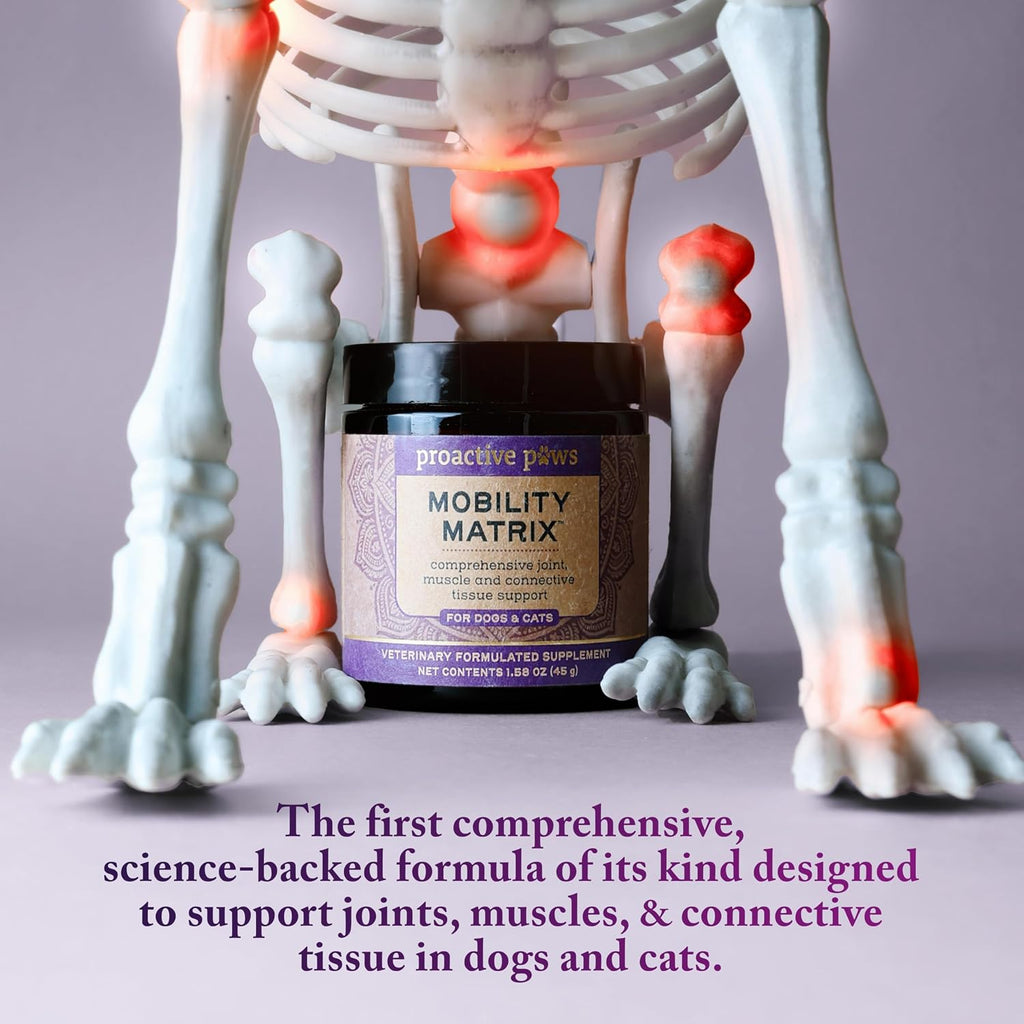 Proactive Paws Mobility Matrix ingredients list on jar