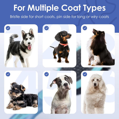 USA imported double sided pet brush removing loose fur from a dog