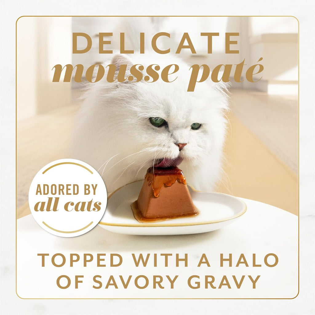 Fancy Feast Gems mousse pate pyramid shape packaging