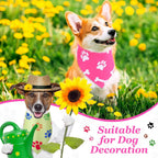 Assorted triangle pet kerchief bib scarves with footprint patterns displayed together