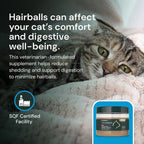 Omega fatty acid and biotin skin and coat supplement for cats
