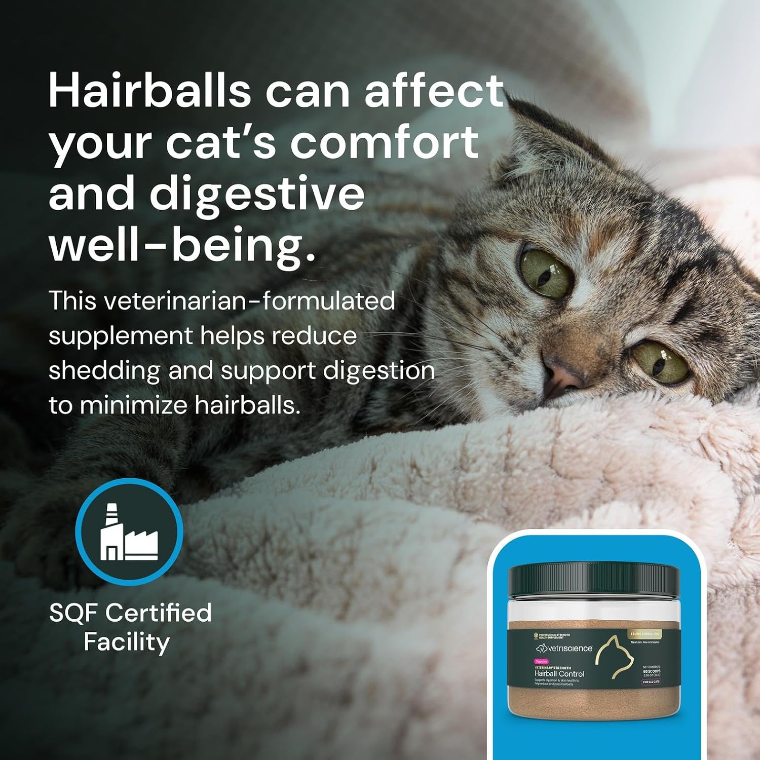 Omega fatty acid and biotin skin and coat supplement for cats