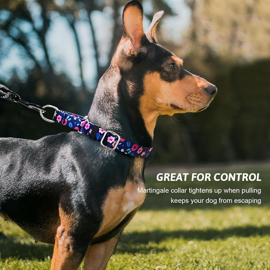 Hikiko patterned martingale collar for small medium and large dogs