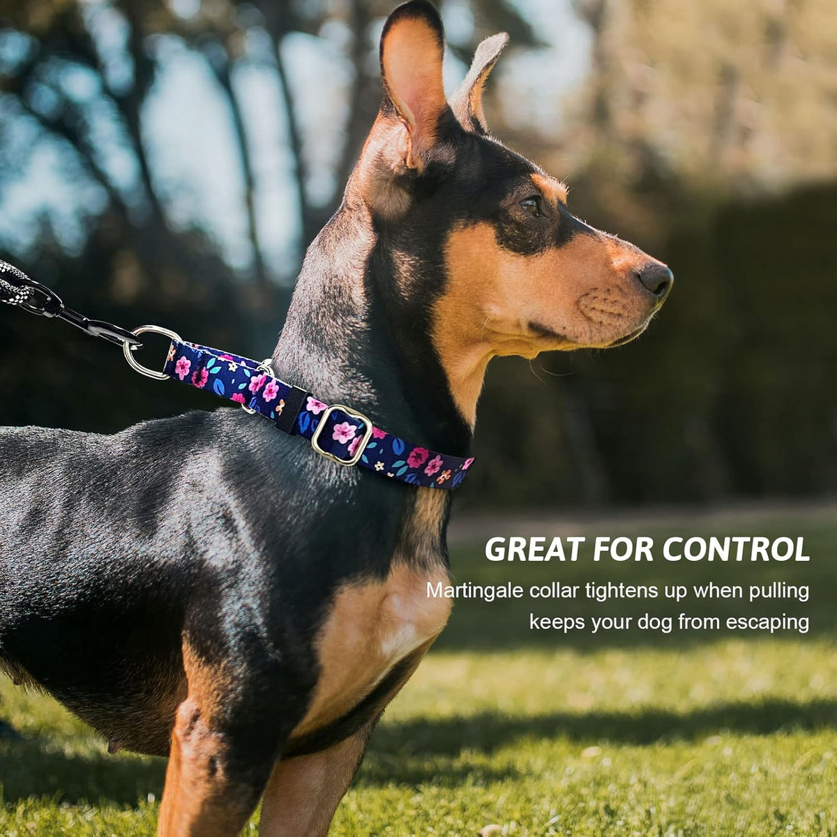Hikiko patterned martingale collar for small medium and large dogs