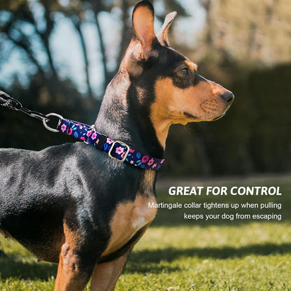 Hikiko patterned martingale collar for small medium and large dogs