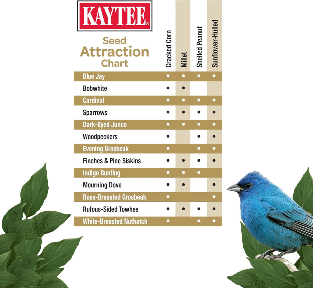 Blue Jay perched on a backyard feeder containing Kaytee waste-free bird food.