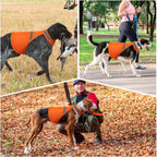 Dog wearing orange Vizbrite safety jacket in park