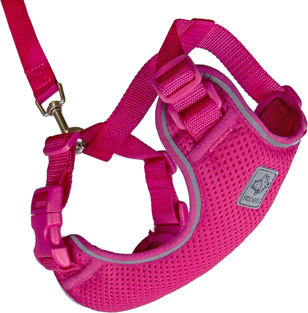 RC Pets Adventure Kitty Cat Harness | Adjustable Airmesh Vest with D-Ring and 6ft Leash for Walking and Travel | Marigold, Medium - Image 11