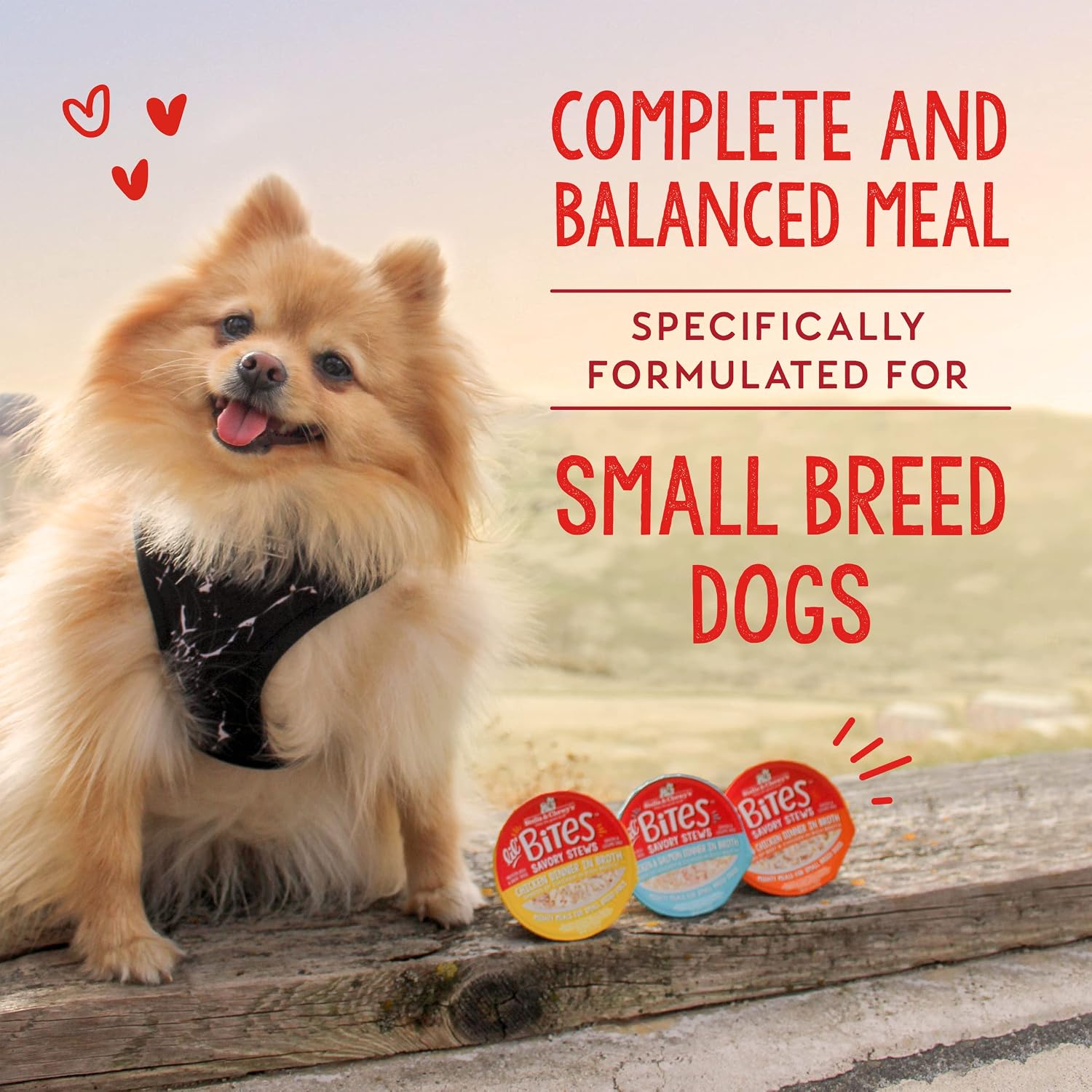 Healthy wet dog food with taurine and turmeric for small breeds