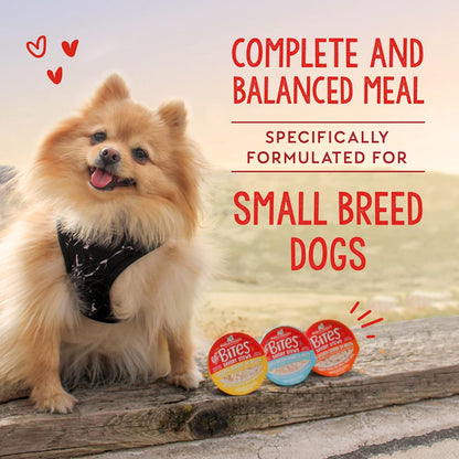 Healthy wet dog food with taurine and turmeric for small breeds