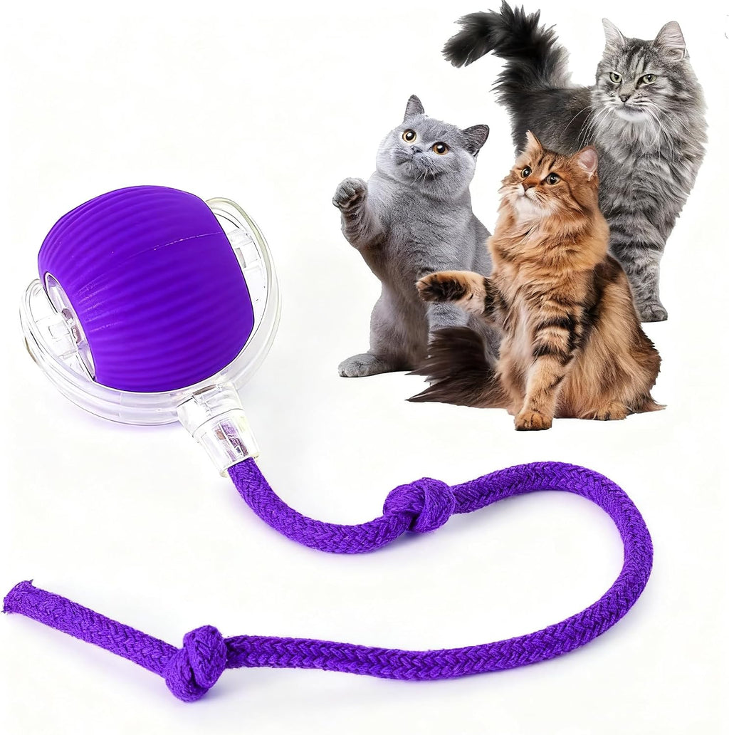 Rocfish Durable Interactive Cat Toys for Indoor Cats, Smart Automatic Cat Chase Ball Toy, Upgraded Speedy Tail Kitten Toy for Bored Indoor Adult Pets (Red) - Image 12