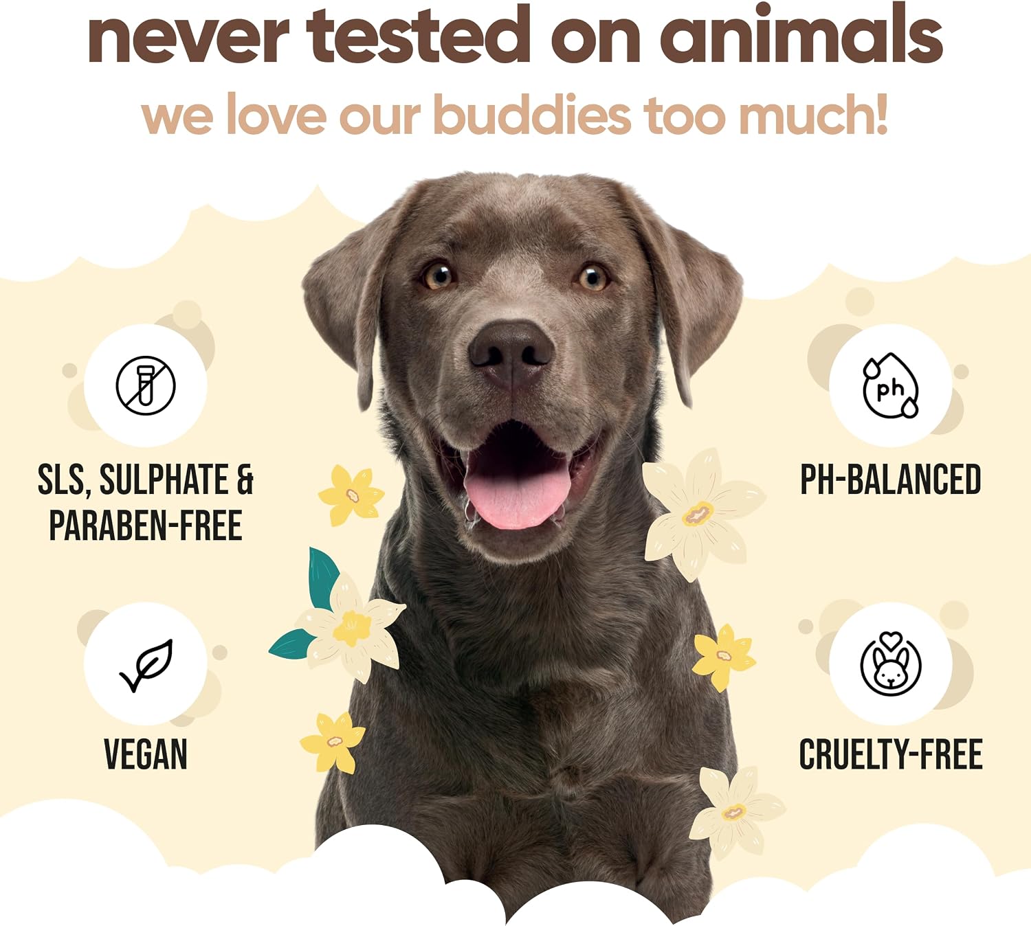 Buddycare vanilla and shea butter pet wash for dry irritated skin