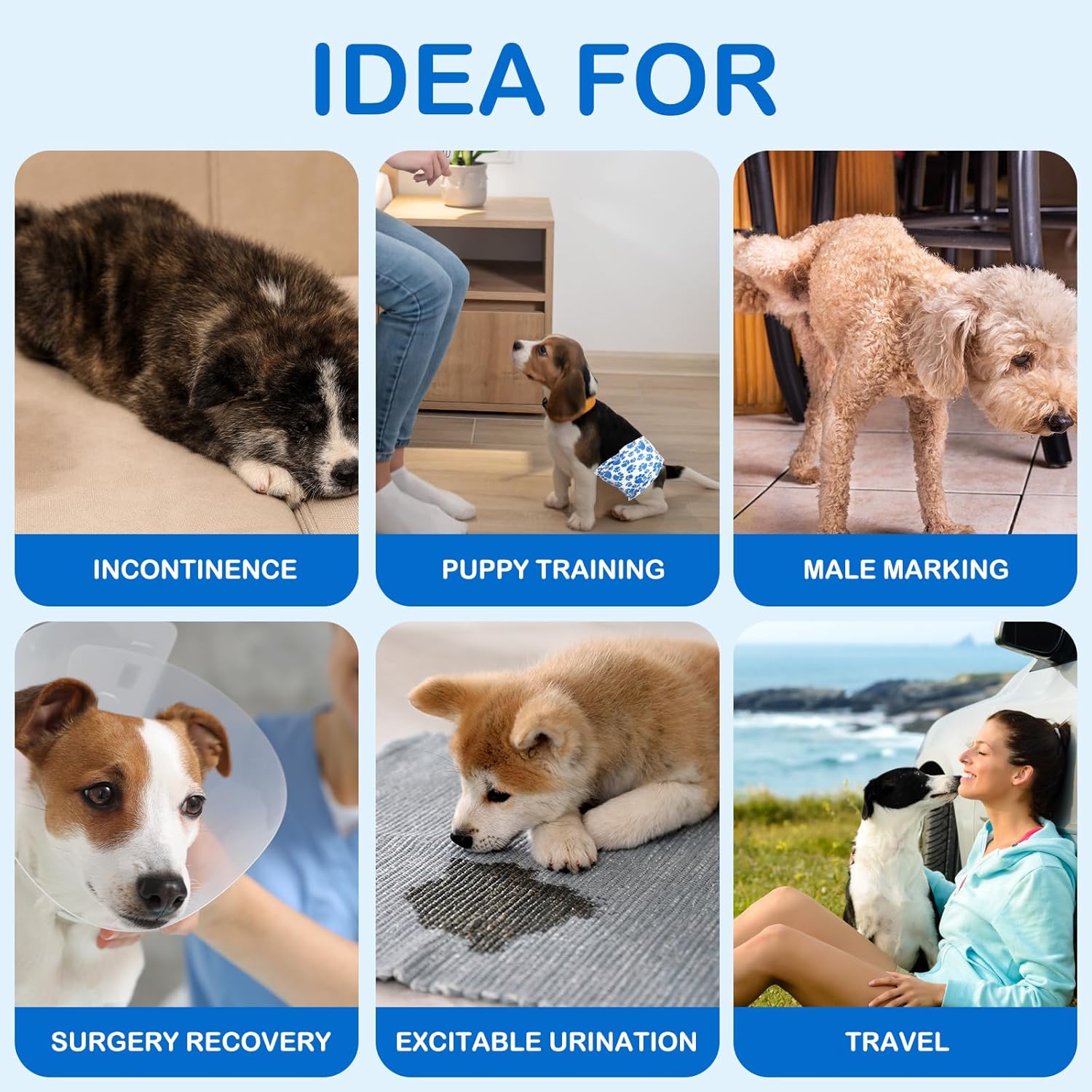 Dono leak proof puppy wraps protecting a living room couch from pet incontinence stains