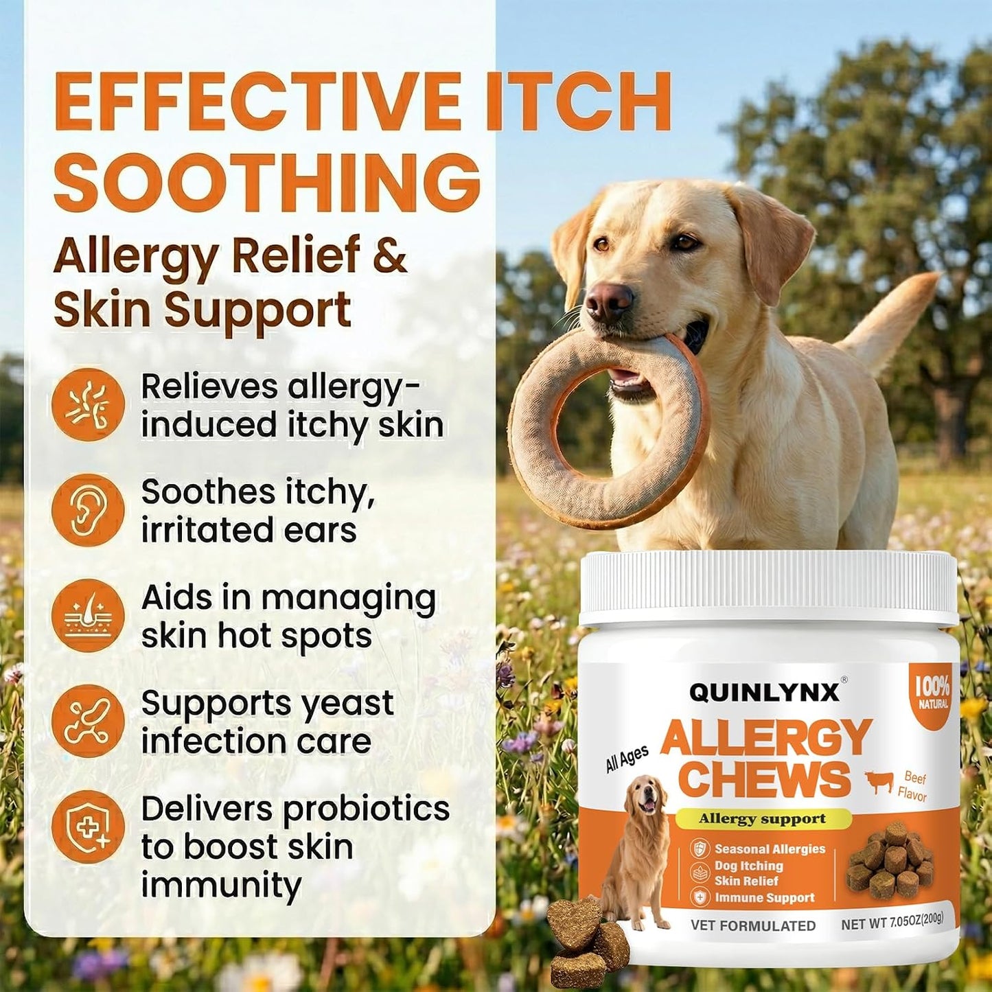 USA imported dog allergy treats for itchy skin and paw licking relief
