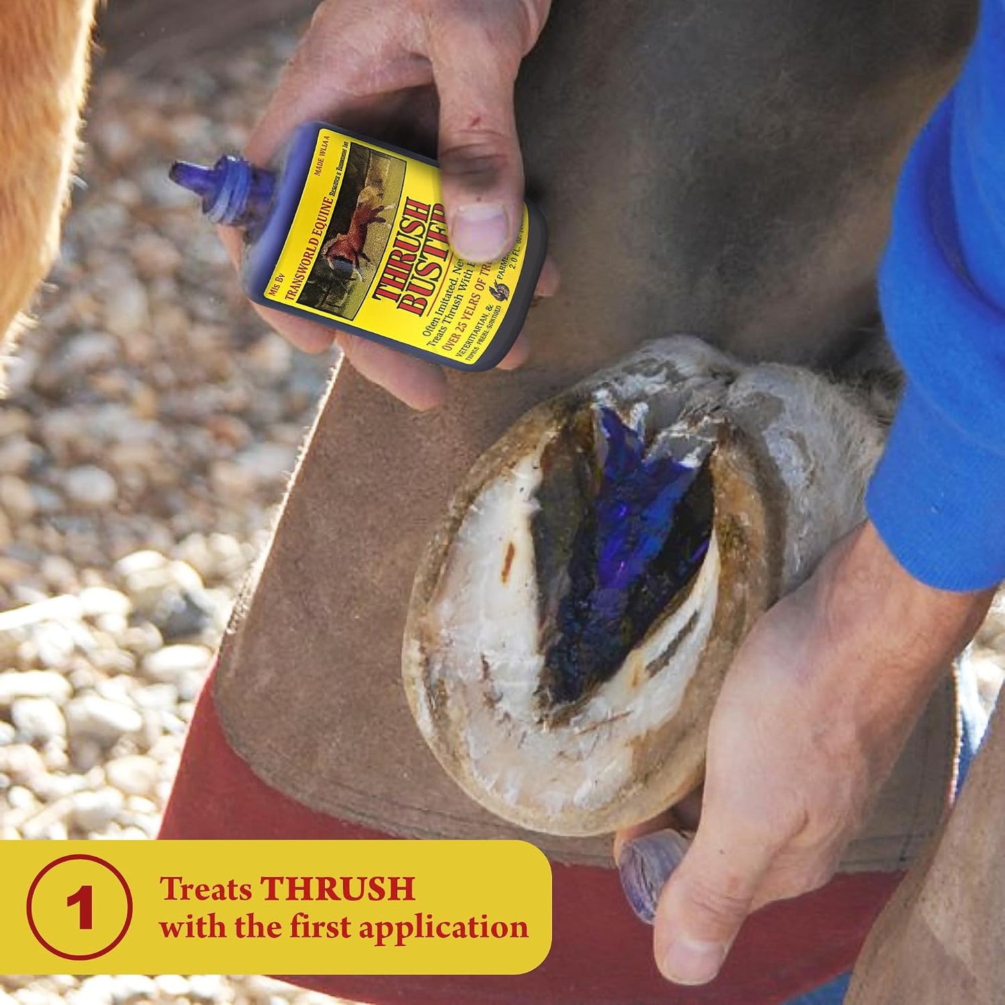 Back label of Thrush Buster horse treatment detailing usage directions and safety info