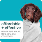 Sergeant's Guardian Pro Spring Freesia dog wash for active flea control.