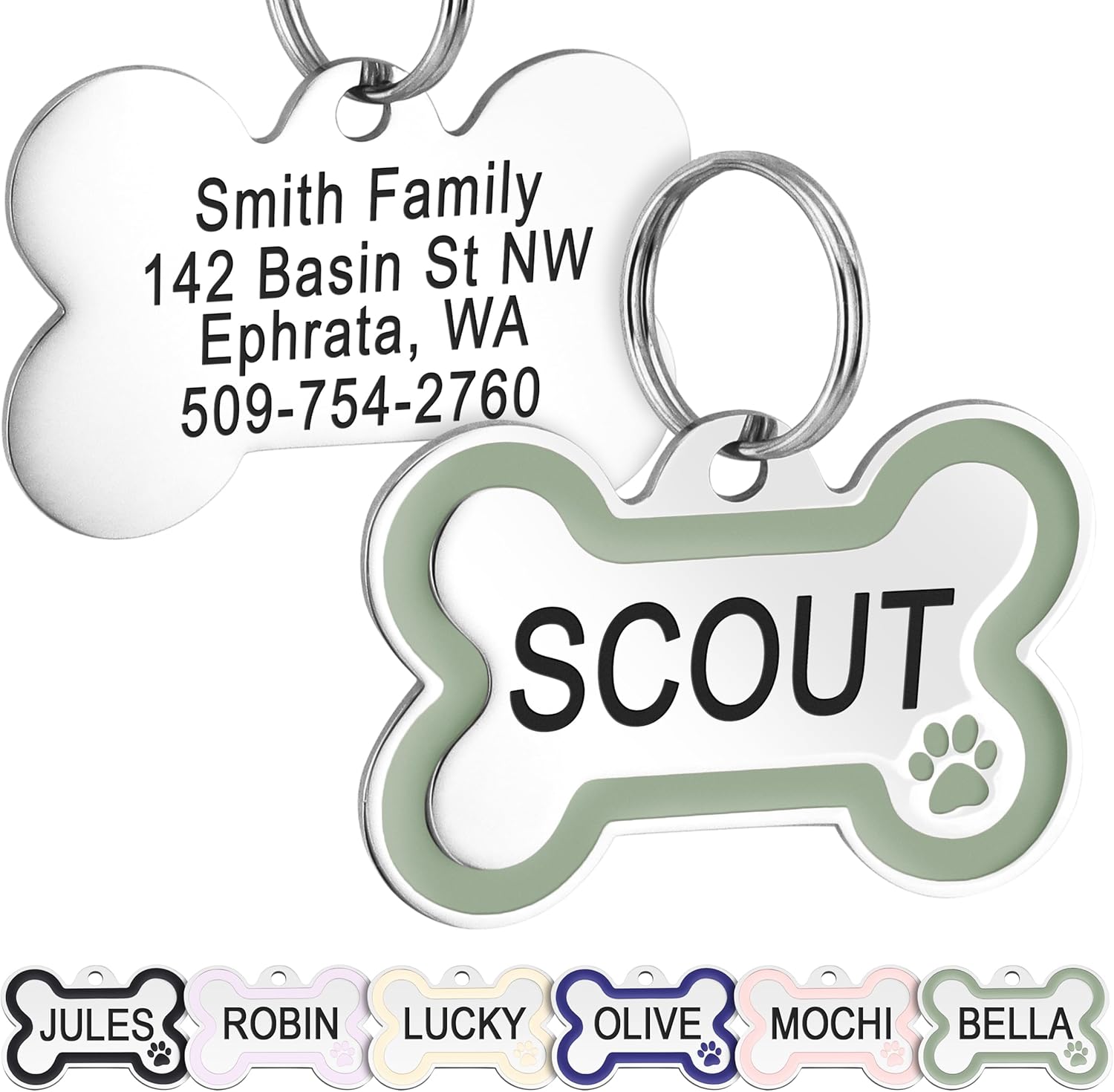 GoTags stainless steel pet ID bone tag sage regular front view showing enamel paw design
